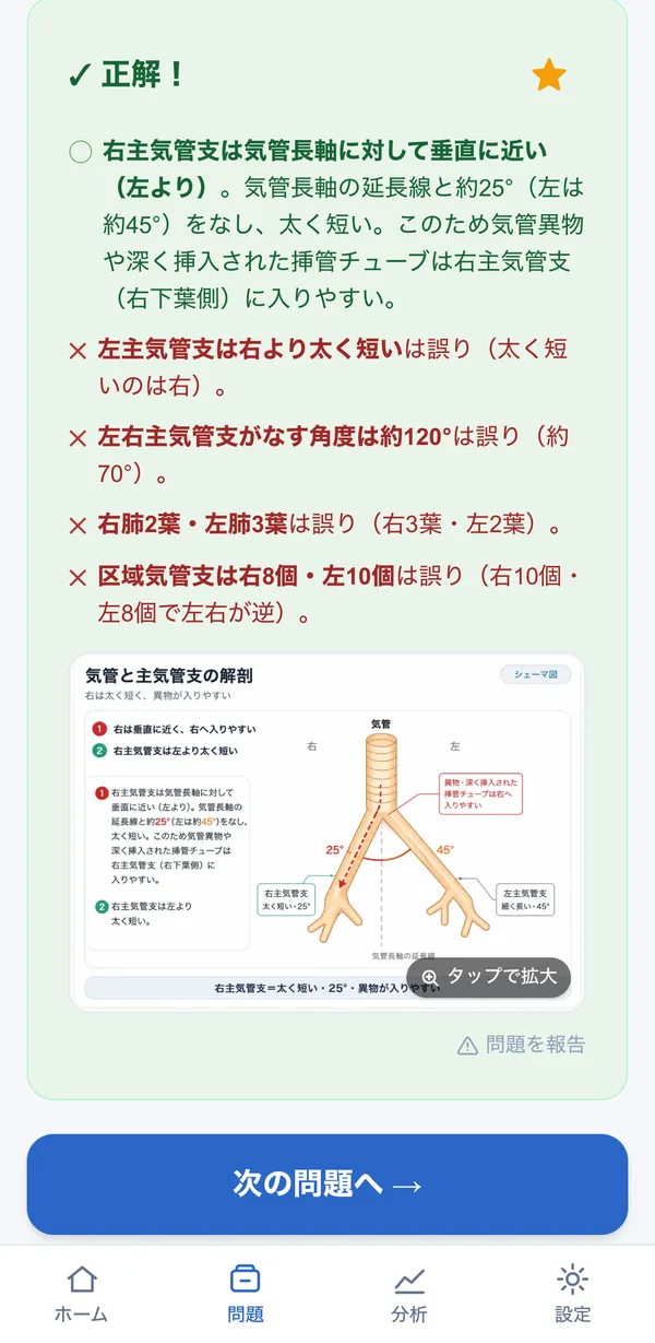 解説画面